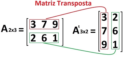 Imagem de capa post Matriz Transposta